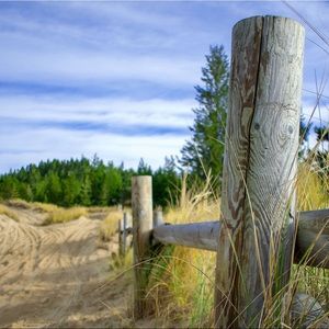 Meet your Posher, Katrina